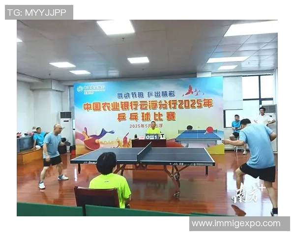 杨芳独家分享乒乓球技巧与心得助你提升球技的秘诀与经验